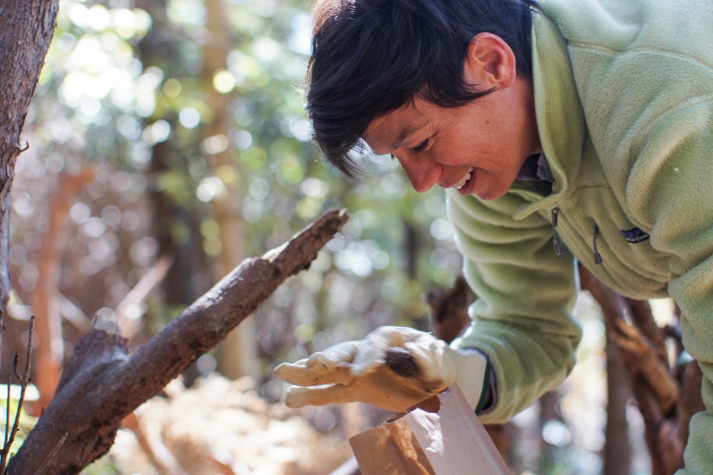 Woman in a forest picking up a small spruce cone and placing it in a paper bag.